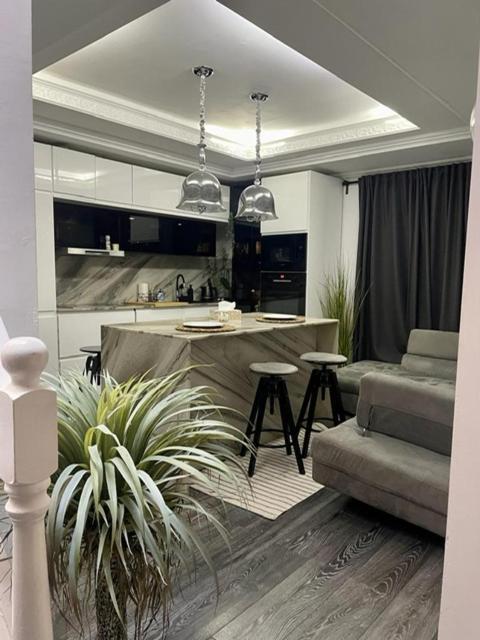 הוילה בוקרשט Casa In Inima Capitalei מראה חיצוני תמונה